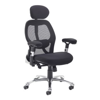 NEXT DAY - SANDRO - Ergo Mesh Office Chair